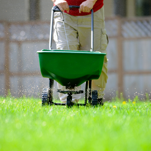 Fertilizer spreader in grass