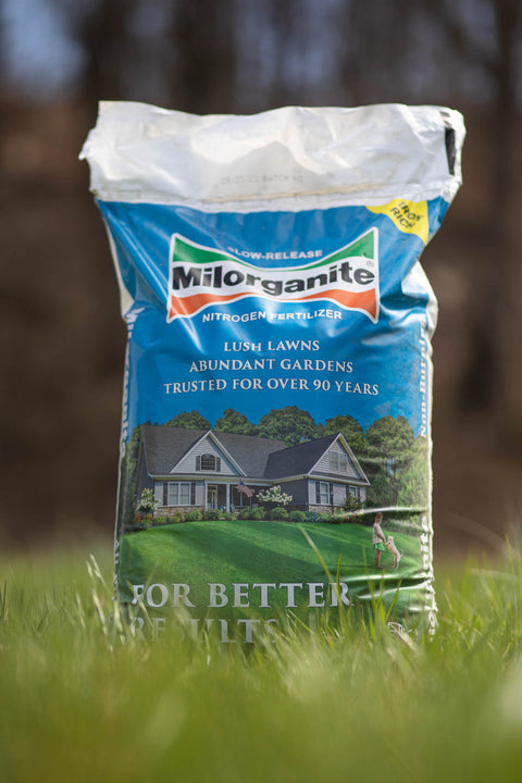 Lawn Care products in lawn