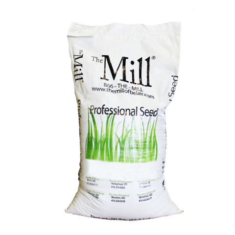 Kentucky Bluegrass Grass Seed