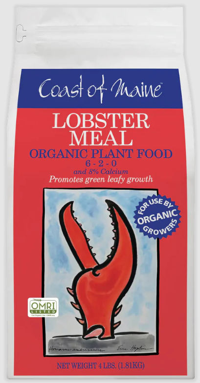 Coast of Maine Lobster Meal