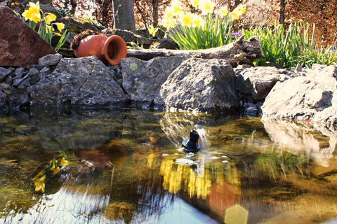 Pond with a fountain in it