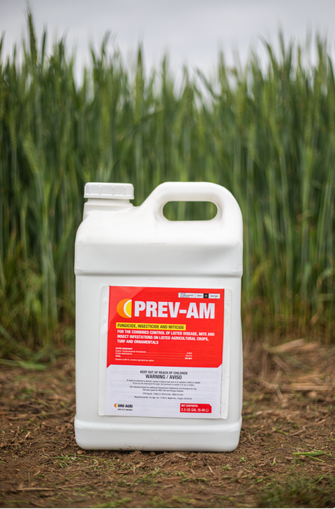 Prev-Am jug in front of wheat field