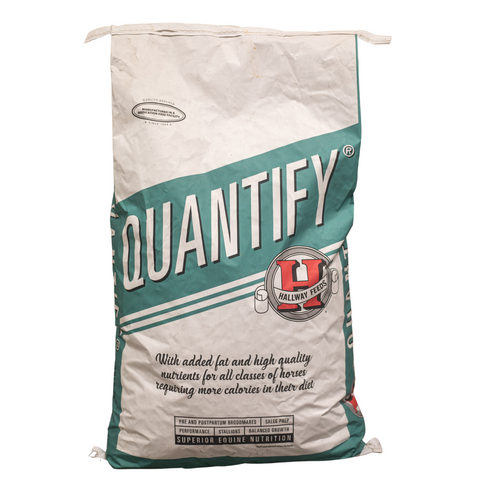 Quantify Hallway Feed