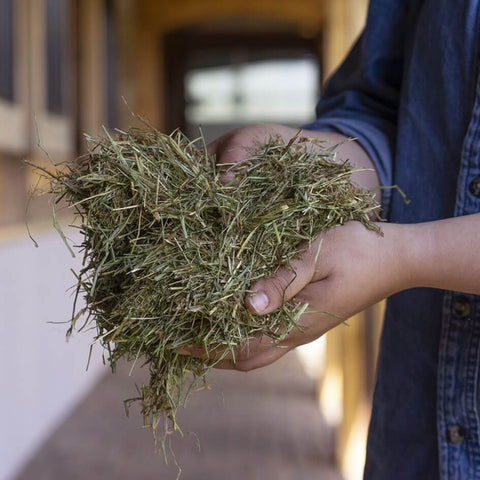 Safe starch forage loose