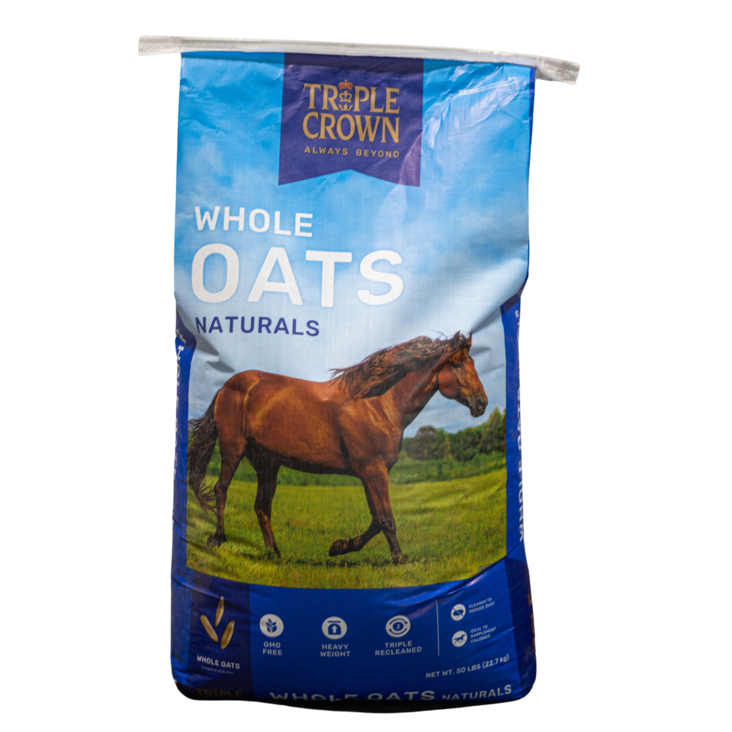 Bag of oats for horses discount