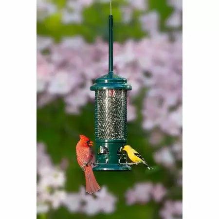 Squirrel Buster Standard Bird Feeder