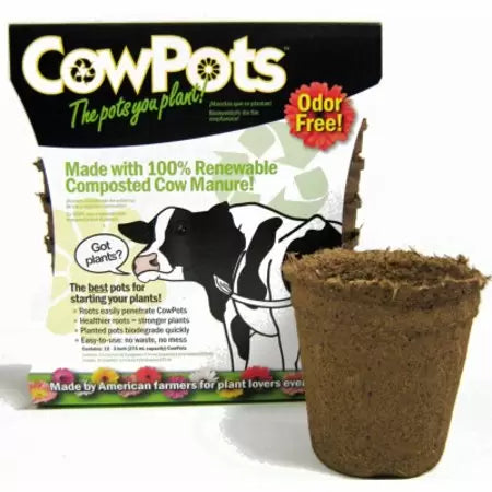 plantable plant pots Cowpots 3 INCH/3 Pack