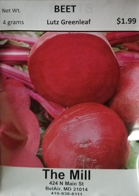 Beet - Lutz Green Leaf Seed Pack