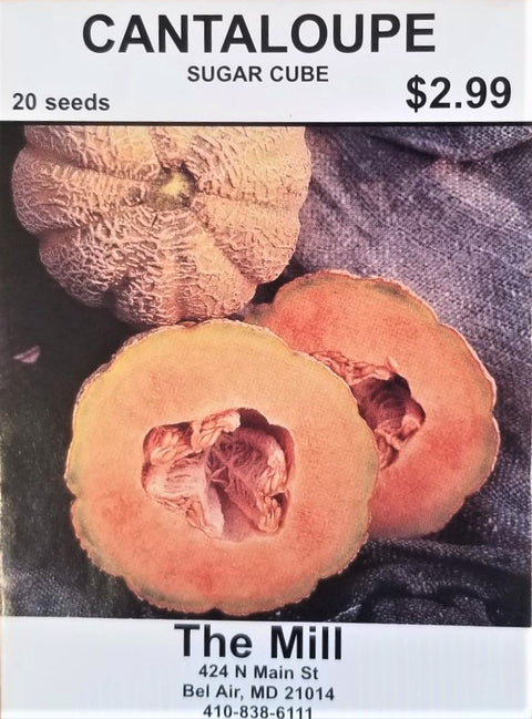 Sugar Cube Cantaloupe seed
