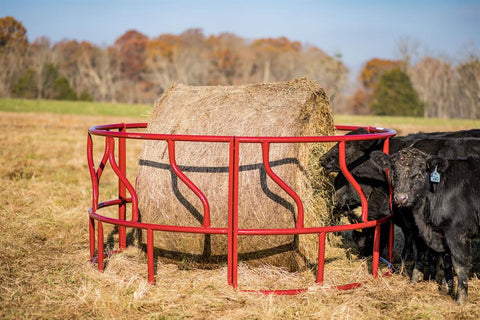 Titan Cattle Feeder