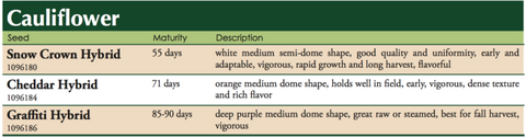 Cheddar Cauliflower Label