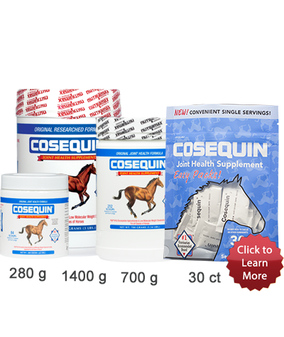 Cosequin Joint Health