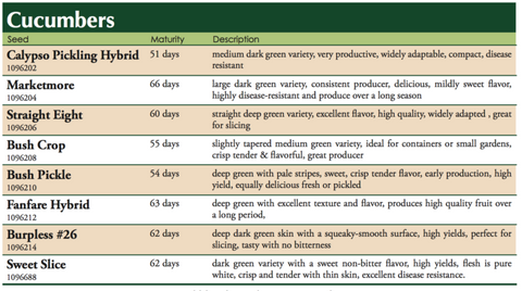 Calypso Hybrid cucumber Label