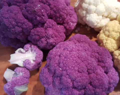 Cauliflower depurple variety seed
