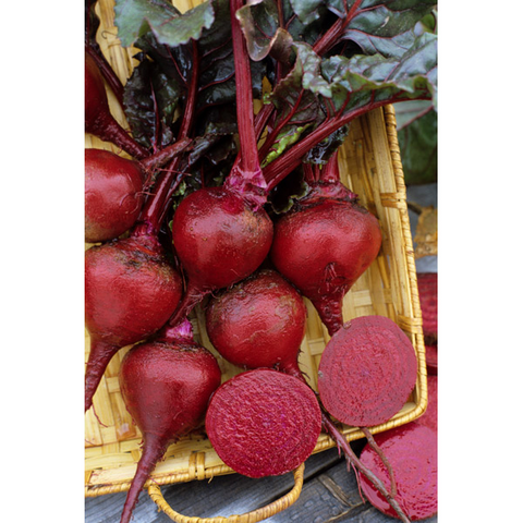The Mill Detroit Dark Red Beet Seed