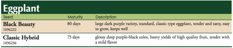 Black Beauty Eggplant label