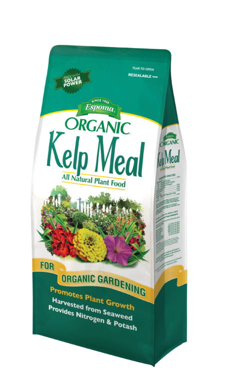 kelp plant fertilizer Espoma Organic Kelp Meal, 4 lb