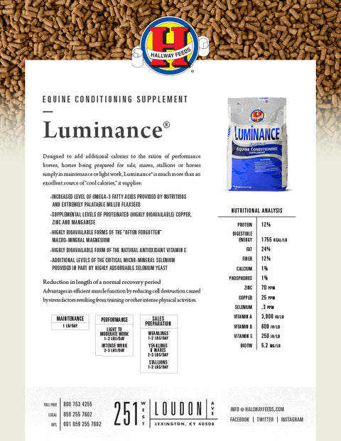 Hallway Luminance Bag Label
