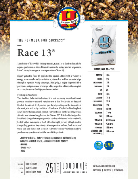 Hallway Race 13 Bag Label