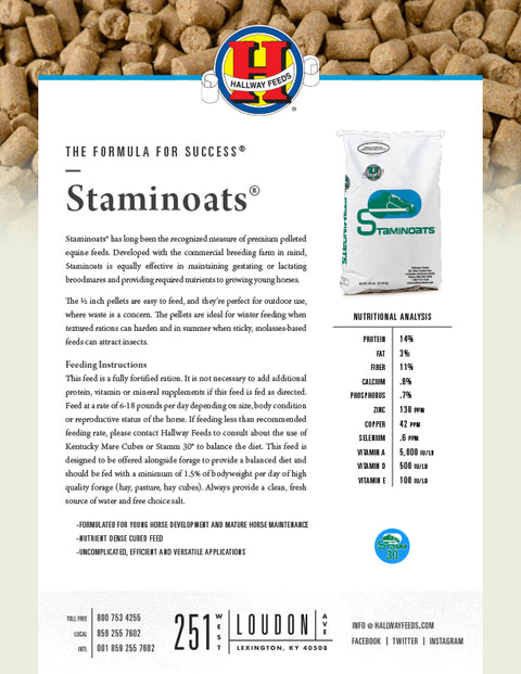 Hallway Staminoats Bag Label