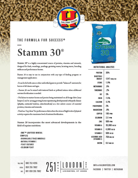 Hallway Stamm 30 Bag Label