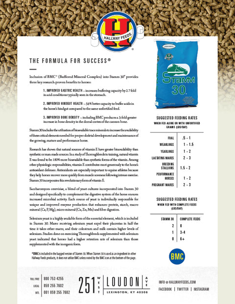 Hallway Stamm 30 Bag Label