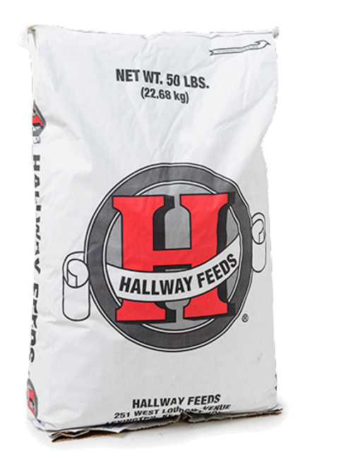 Hallway Super 16 Bag