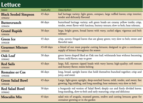 Buttercrunch Lettuce Label