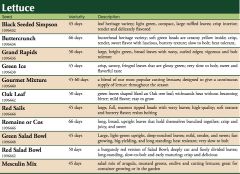 Oak Leaf Lettuce Label
