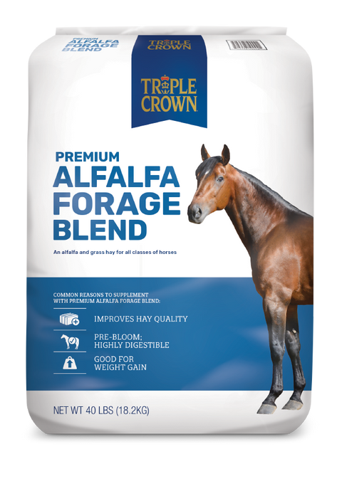 Triple Crown Alfalfa forage