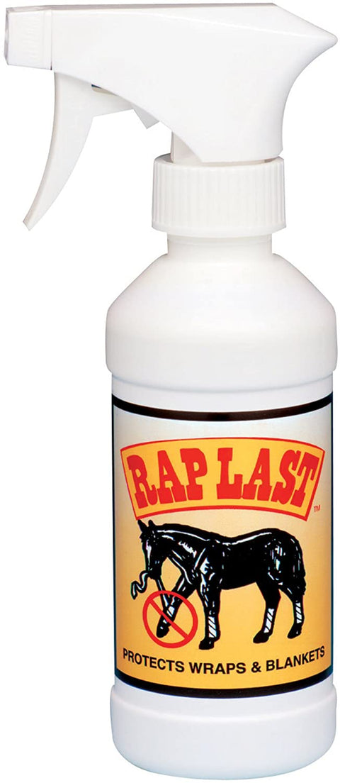 Rap Last
