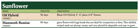 Mammoth Russian Sunflower Label