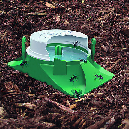Terro Outdoor Liquid Ant Bait