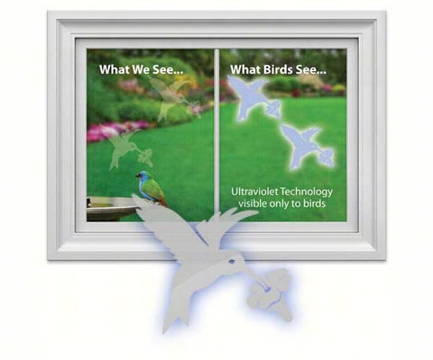 Window Alert Hummingbird Window Decal