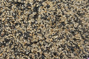 Martig Farms Finch Treat