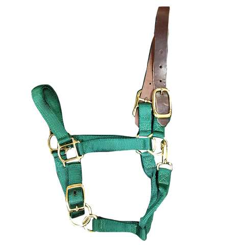 Breakaway Halter