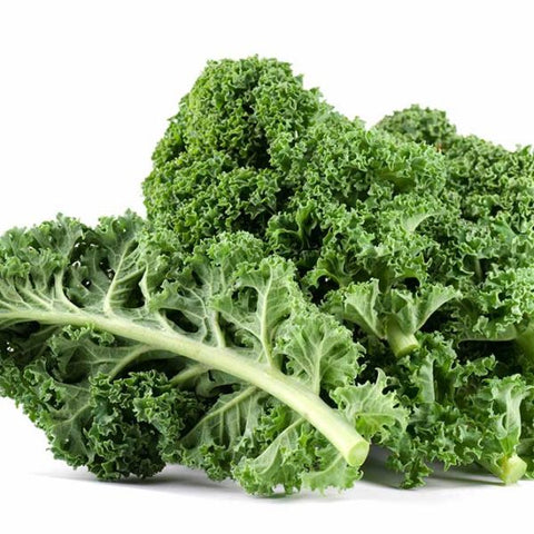 Lacinato Kale
