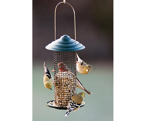 Magnum sunflower bird feeder- 1 pint