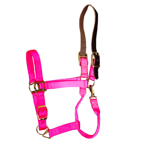 Breakaway Halter