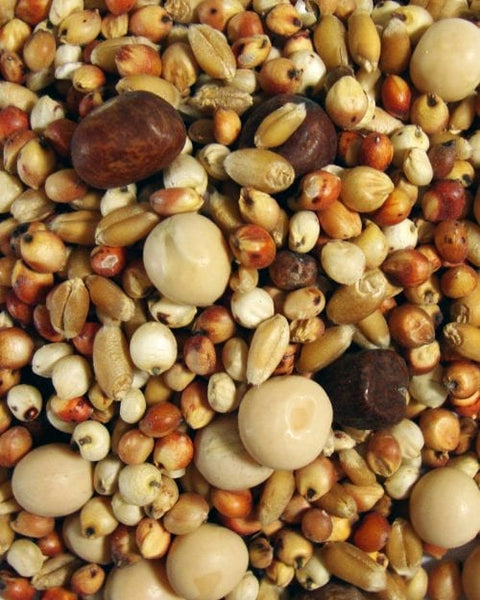 Browns Thrifty Kafir Pigeon Feed