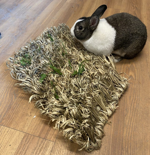 Hide and seek mat