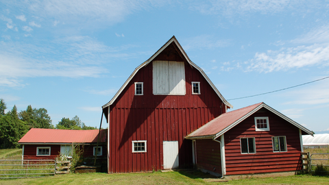 Barn Fan Safety