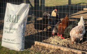 a bag of The Mill's Chicken Feed in front of a coop of chickens