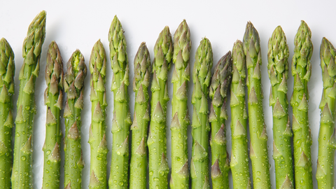 Asparagus: A Long-Term Garden Investment