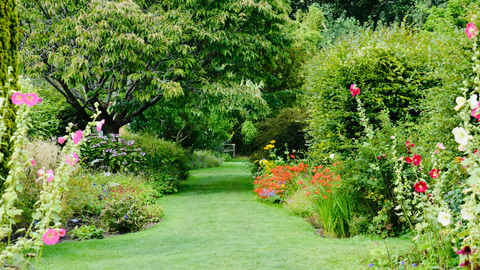 Plants and Summer Heat: How to Keep Your Garden Thriving in Hot Weather