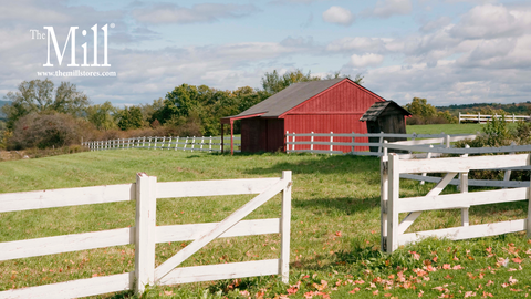 A Farmer’s Guide to Fencing: Choosing the Best Farm Fencing Supplies