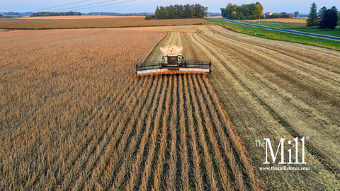 Harvest Season Update: Corn, Silage, and Tar Spot in Maryland