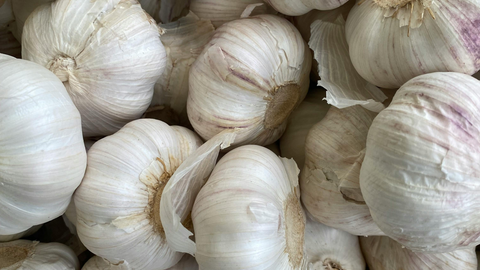 Garlic: Fall-Planted Flavor Powerhouse