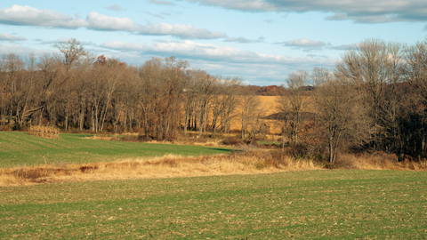 Harvest Update: Cover Crop Growth Highlights the Power of Timely Fall Seeding