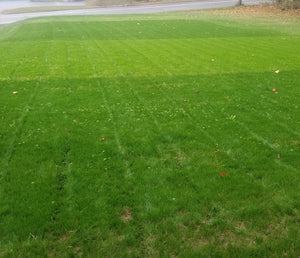 The Mill Turf Grass Plot in Whiteford, MD 